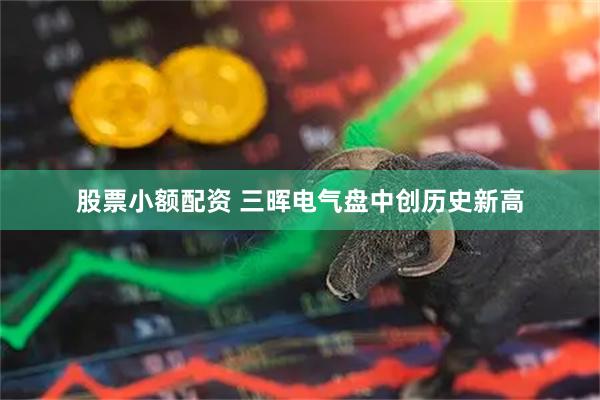 股票小额配资 三晖电气盘中创历史新高