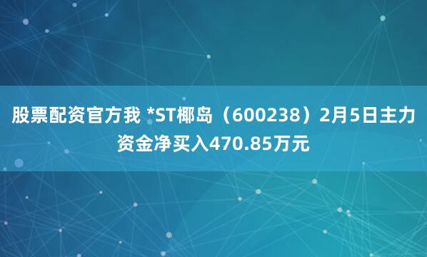 股票配资官方我 *ST椰岛（600238）2月5日主力资金净买入470.85万元